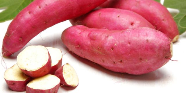 comment-cultiver-la-patate-douce