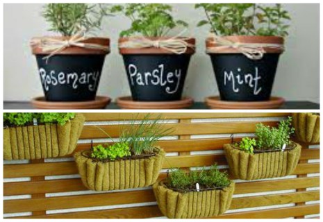 Dicas para horta caseira! - Acesse: https://pitacoseachados.wordpress.com - Blog Pitacos e Achados! - Acesse: https://pitacoseachados.wordpress.com- #pitacoseachados