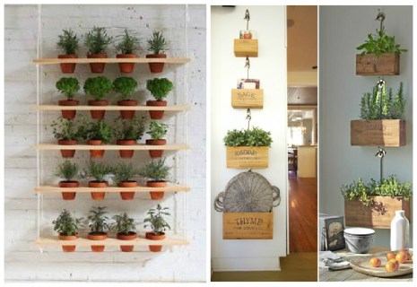 Dicas para horta caseira! - Acesse: https://pitacoseachados.wordpress.com - Blog Pitacos e Achados! - Acesse: https://pitacoseachados.wordpress.com- #pitacoseachados