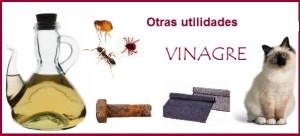 otras_utilidades_del_vinagre_en_limpieza