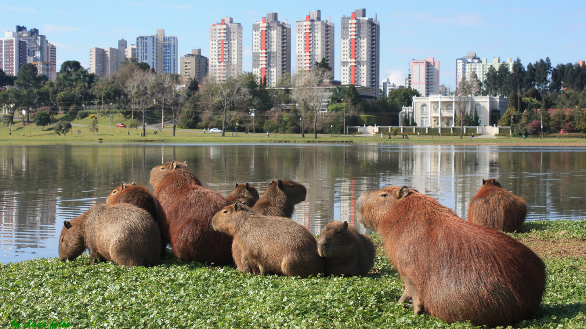 Curitiba - Minha cidade pelo meu ponto de vista