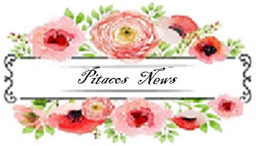 Blog Pitacos e Achados