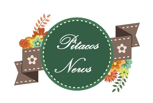 Blog Pitacos e Achados