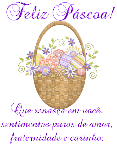 Blog Pitacos e Achados