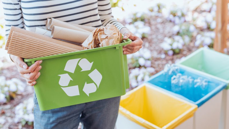 7 dicas para uma vida mais eco-friendly - pitacos e achados2