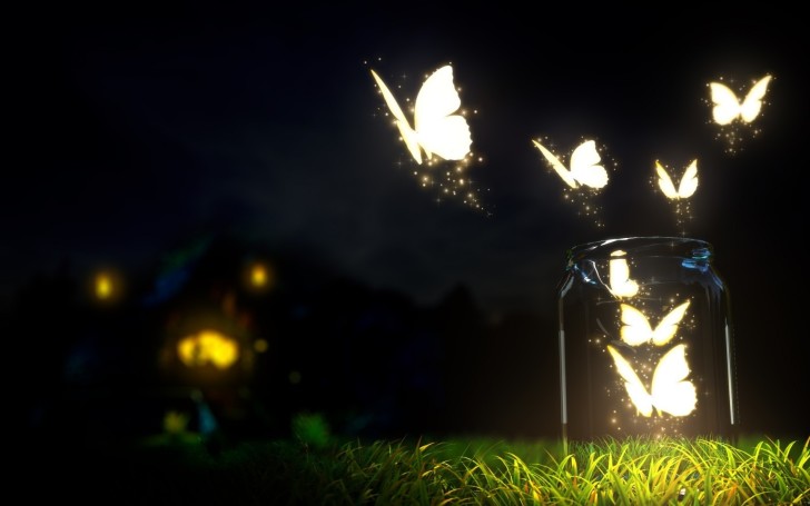 sparkling-butterflies-at-night-hd-wallpaper-728x455